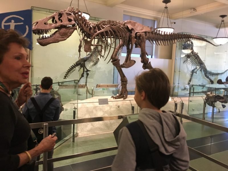 Museum of Natural History NY
